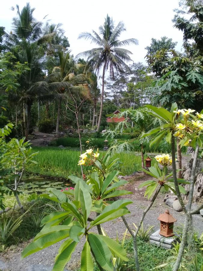 Loka Amertha Guest house Sidemen (Bali)