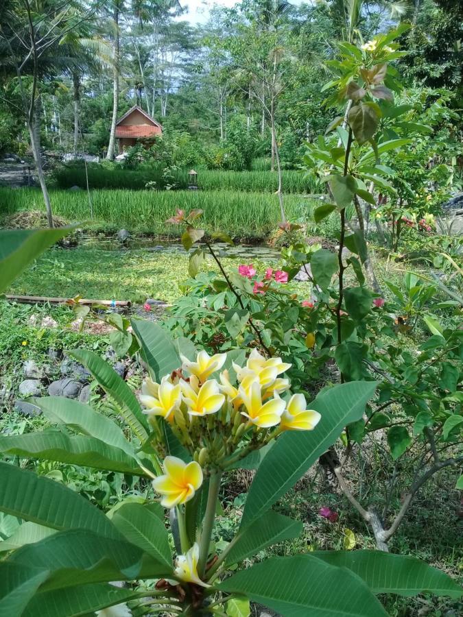 Loka Amertha Guest house *
