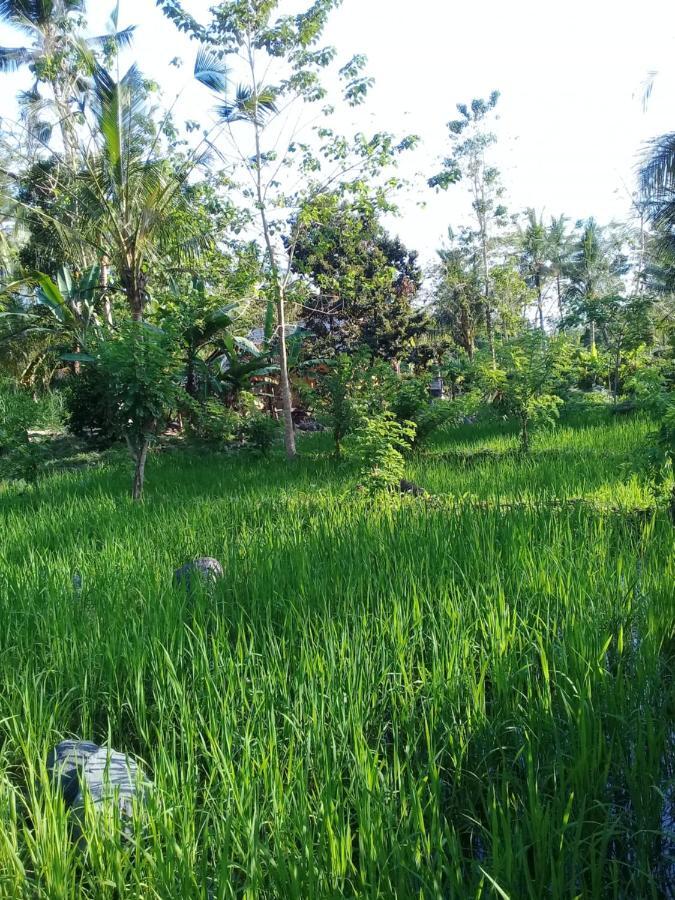 Guest house Loka Amertha