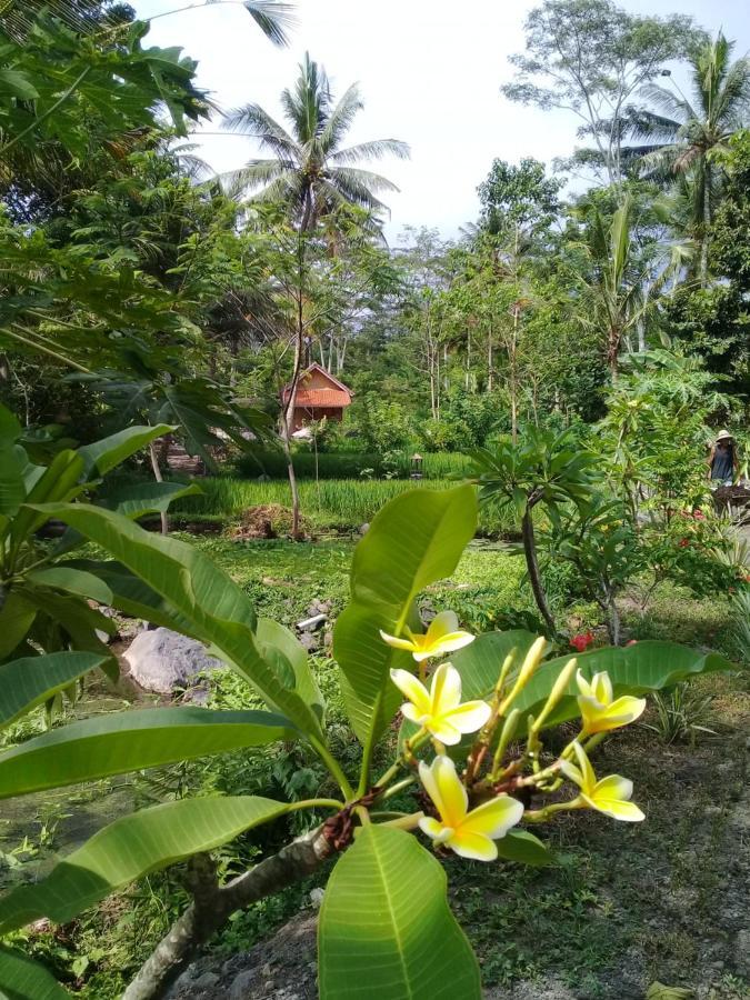 Loka Amertha Guest house